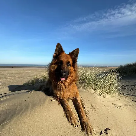 Cozy Panorama Flat By The Daire *